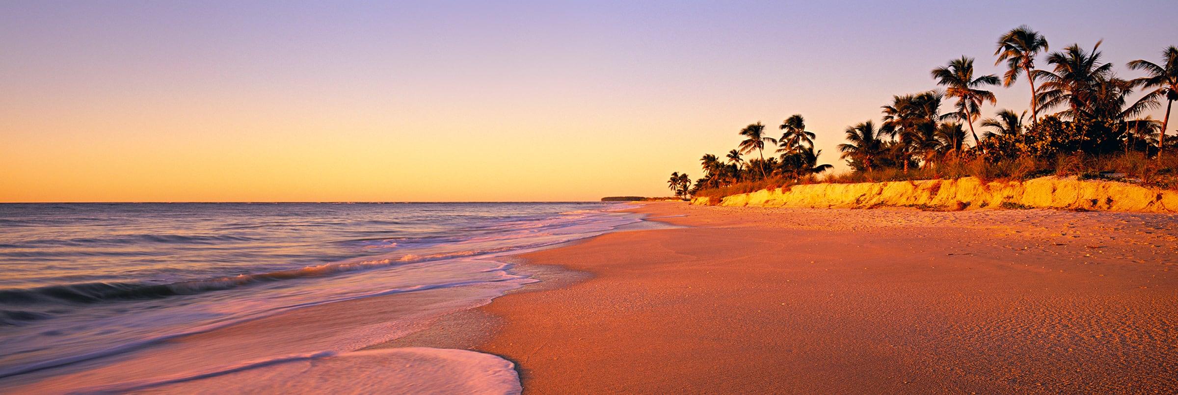 Golden Shores